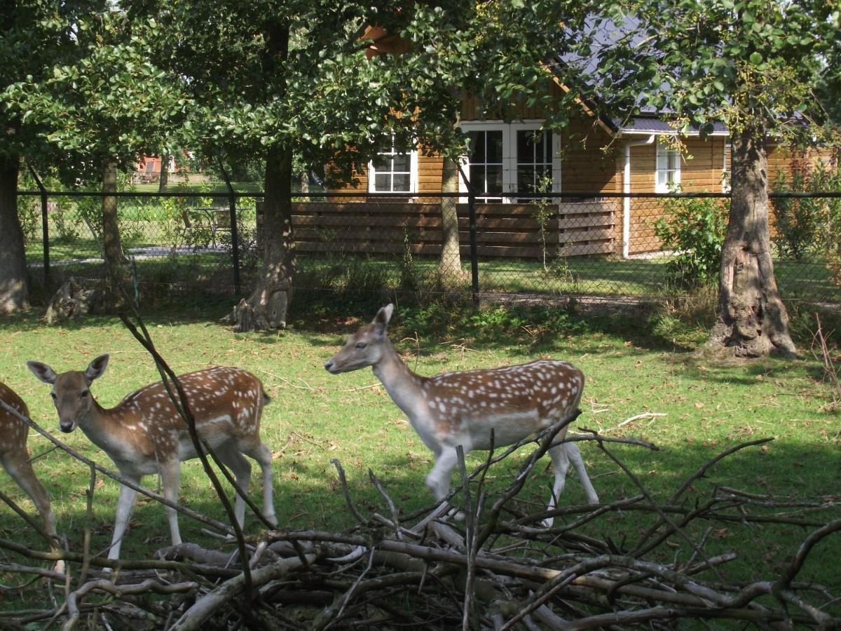 Vakantiehuisjes Landgoed Sonneborghe Kollumerzwaag Eksteriør bilde